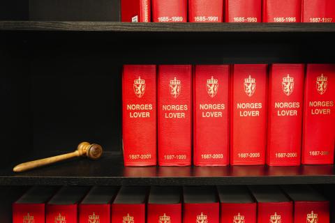 Bilde av en rekke lovverk og en dommerklubbe i en sort bokhylle